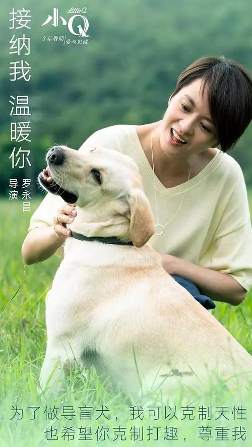 做个假惠特沃思大学文凭毕业证